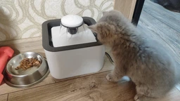 Автопоилка Автоматическая поилка фонтан для собак и кошек Pet Water FOUNTAIN фото от покупателей 5