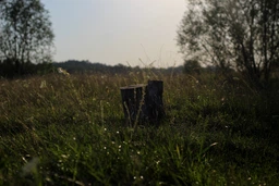 Объектив Canon EF 50mm f/1.8 STM (0570C005) фото от покупателей 3