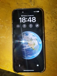 Мобильный телефон Apple iPhone 14 Pro Max 256GB Silver (MQ9V3RX/A) фото от покупателей 2
