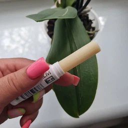 Бальзам для губ увлажняющий с маслом жожоба Hillary Natural Jojoba Lip Balm (2314955764855/4823116601154) фото от покупателей 6