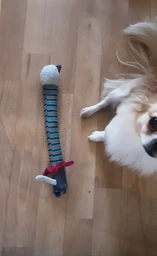 Іграшка для собак GiGwi Кіт з хрусткою шиєю та пискавкою Crunchy 28 см (75046Collar) фото від покупців 1