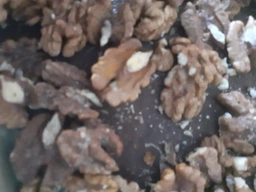 Грецкий орех Ecofood Половинки (бабочка) 1 кг фото от покупателей 2
