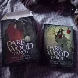 Таро Темного Леса Dark Wood Tarot фото от покупателей 4