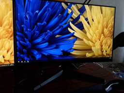 Монітор 24" Samsung S24С310 (LS24С310EAIXCI) фото від покупців 12