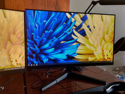 Монітор 24" Samsung S24С310 (LS24С310EAIXCI) фото від покупців 10