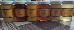 Мед луговое разнотравье 4500 грамм Медвежонок натуральный фото от покупателей 3