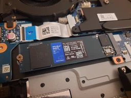 Внутренний SSD WD Blue SN570 NVMe SSD 250 ГБ до 3300 МБ/с фото от покупателей 13