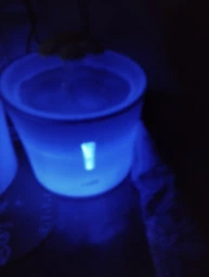 Фонтанчик для котов Catit Cat Fountain Flower Led 3 л White (0022517437476)