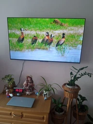 ТБ IFFALCON IFF65U62