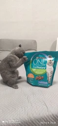 Сухий корм для кішок Purina One DualNature з спіруліна 750 г (7613036257633)