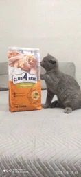 Сухий корм для котів Club 4 Paws Преміум з кроликом 300 г (4820269140202) фото від покупців 1