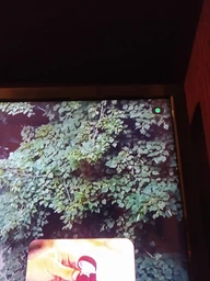 Strong Android TV BOX LEAP-S1 (001612) + промо-період від найкращих ОТТ операторів України
