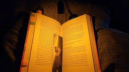 Лампа аккумуляторная Glocusent Mini clip-on book light универсальная настольная лампа 1600/3000/5000K Черная (X002) фото от покупателей 1
