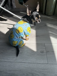 Піжама для собак Pet Style "Качки" Блакитна 2XL