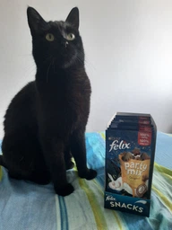 Упаковка лакомств для котов Purina Felix Party Mix Ориджинал Микс со вкусом курицы, печени и индейки 8 шт по 60 г (7613287631466)