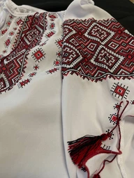 Українська жіноча вишиванка біла літня з червоною вишивкою "Кейсі" на лекому шифоні 12063-58 (3XL)