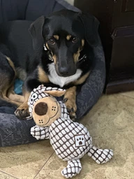 Игрушка для собак Trixie Собака в клеточку 26 см Бело-коричневый (35977) фото от покупателей 10