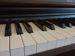 Цифровое пианино Casio Privia PX-770 White (PX-770WEC7) фото от покупателей 6