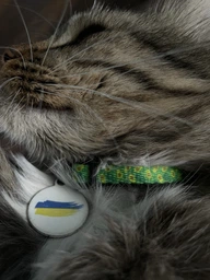 Нашийник для собак нейлоновий Collar WAUCAT Nylon з QR-паспортом, малюнок "Авокадо", пластиковий фастекс, XS, Ш 10 мм, Д 20-30 см (5280) фото від покупців 2