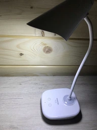 Настільна світлодіодна лампа з акумулятором Quantum ASCONA QM-TL1030 3W 200lm USB 5V фото від покупців 2