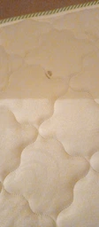 Матрац Faino ZORI HIGHFOAM 80x190 см (EVR-2375) фото від покупців 1