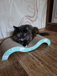 Дряпка Trixie Mimi Wave для котів, 50х9х23 см (картон) фото від покупців 7