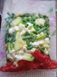 Вакууматор AENO VS2 (AVS0002)