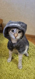 Костюм для котов (кошек) флисовый Тоторо XS Серый фото от покупателей 2