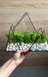 Моссариум Горы со стабилизированым мхом MiNature Moss фото от покупателей 2