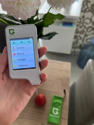 Нитратомер greentest eco 4f экотестер нитрат тестер измеритель прибор для измерения нитратов дозиметр в одном приборе нитрат тестеры (Green4F)