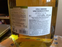 Вино Colli Amerini Vino Bianco de Italia сухое белое 5 л 11% (8009489040066_8011510031653)