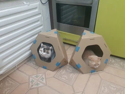 Модульный домик для кошек Collar TelePet 440х440х370 мм (9072Collar) фото от покупателей 18
