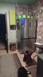 Холодильник MIDEA MDRF632FGF46 фото від покупців 5