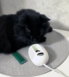 Датчик сигнализатор газа Maxi/C (для природного, балонного метан, пропан-бутан и угарного газа CO)
