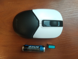 Мышь A4Tech Fstyler FG12S Wireless Black (4711421959544) фото от покупателей 5