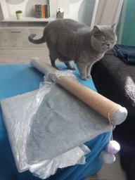Дряпка для кота Мур-Мяу Стовпчик-2 37х37х72 см для кішок у джутовій мотузці Бежевий фото від покупців 1