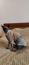 Кофта для кота или кошки Style Pets HARVARD (0019hr) XL- фото от покупателей 1