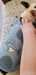 Сітчаста майка для собак Pet Style "Блакитний кит" Блакитна XL