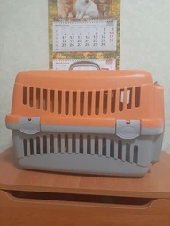 Переноска для кішок і собак Animall CNR-102 48.5х32.5х32.5 см Сіро-м'ятна (2000981202453)