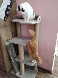 Котячий комплекс кігтеточка з великою лежанкою оббитий зносостійкою турецькою тканиною 120х60х45см сірий фото від покупців 6