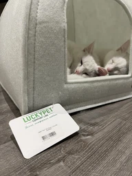 Лежак-палатка Реги №3 "Lucky Pet" для собак и кошек, белый, 45х45х48 см