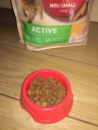 Сухий корм Purina One Mini/Small Active для дорослих собак дрібних порід з підвищеною активністю з куркою та рисом 1.5 кг (8445290348265) фото от покупателей 4