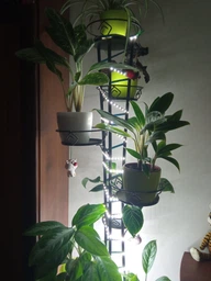 Світлодіодна стрічка LED SMD2835 5 метрів USB 5V 20W павербанк від мережі