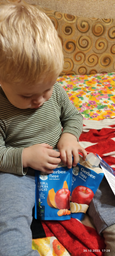Упаковка Фруктово-овочевого пюре Gerber з Яблук Моркви та Гарбуза для дітей із 6 місяців 150 г х 12 шт (8445290223340) фото від покупців 14