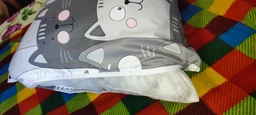 Подушка дакимакура Руно Grey Cat_1 антиаллергенное волокно 50х150 см (Р315.52_Grey Cat_1) фото от покупателей 8