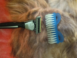 Бритва для гоління Wilkinson Sword Quattro Titanium Sensitive 2 картриджі (4027800536269) фото від покупців 1