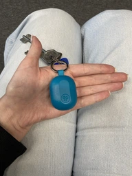 Навушники TWS JLAB JBuds Mini Black (IEUEBJBMINIRBLK124) фото від покупців 2