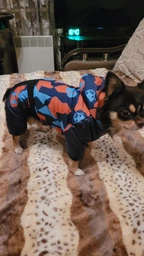 Комбінезон для собак Dog Baby Fancy M Blue