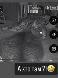 Видеоняня вебкамера ночного видения видео няня с подключением к телефону радионяня камера видеонаблюдения с удаленным доступом поворот 360 градусов радио няни с микрофоном и динамиком Swan Home Smart Eye V2.0 белая фото от покупателей 15