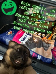 Сухий корм для цуценят великих порід Premium Puppies Large Breeds з куркою 1 кг Ваговий Клуб 4 Лапи фото від покупців 3